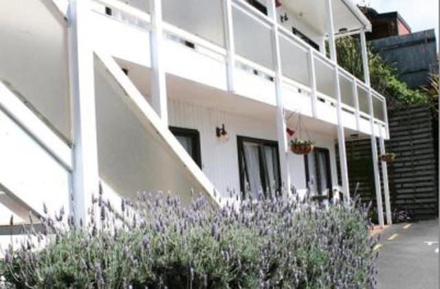 88 Wallace Court Motel Wellington Buitenkant foto