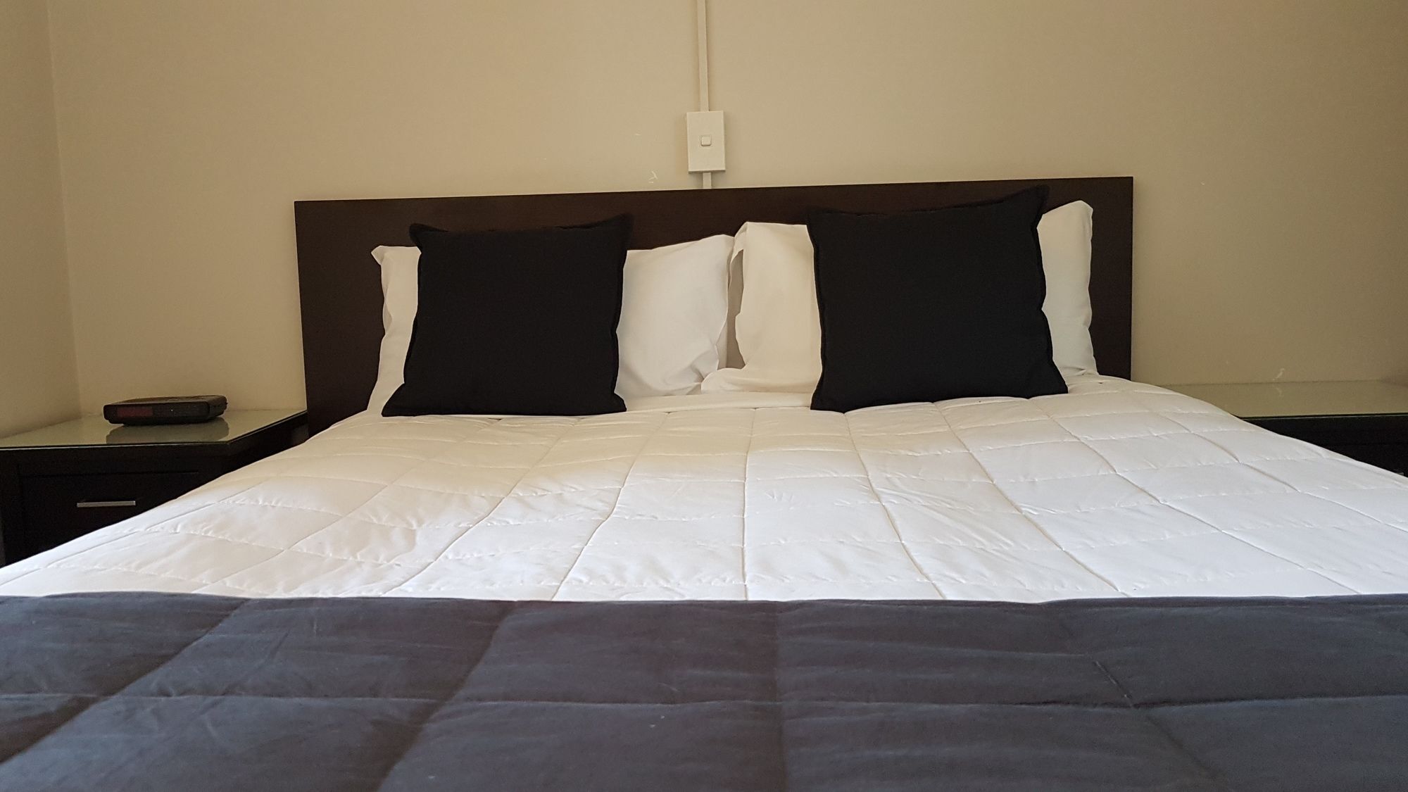 88 Wallace Court Motel Wellington Buitenkant foto