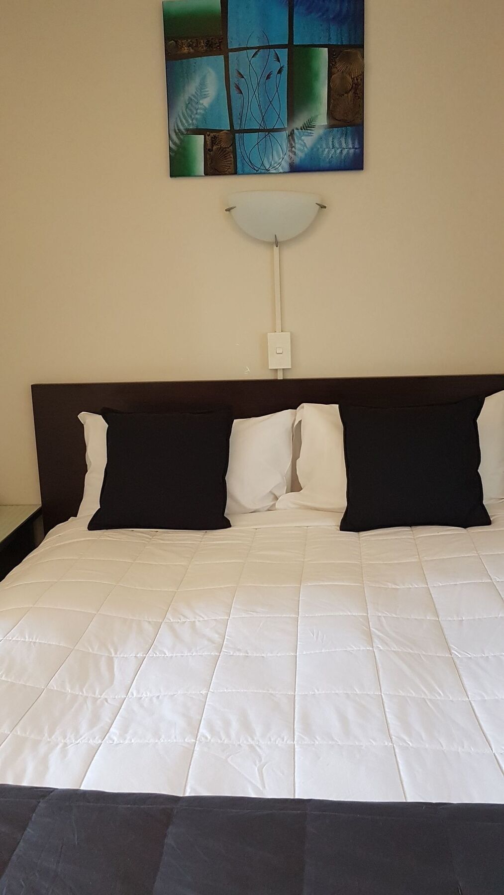 88 Wallace Court Motel Wellington Buitenkant foto